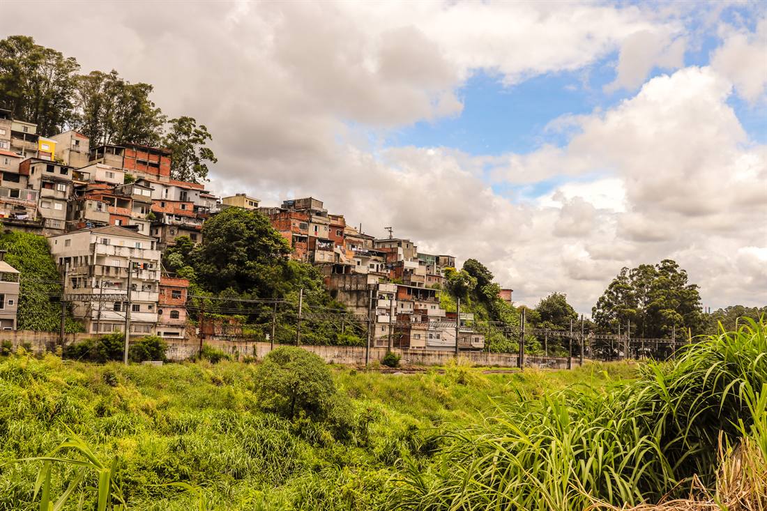 Casas da favela na encosta do morro, com vegetação à frente.